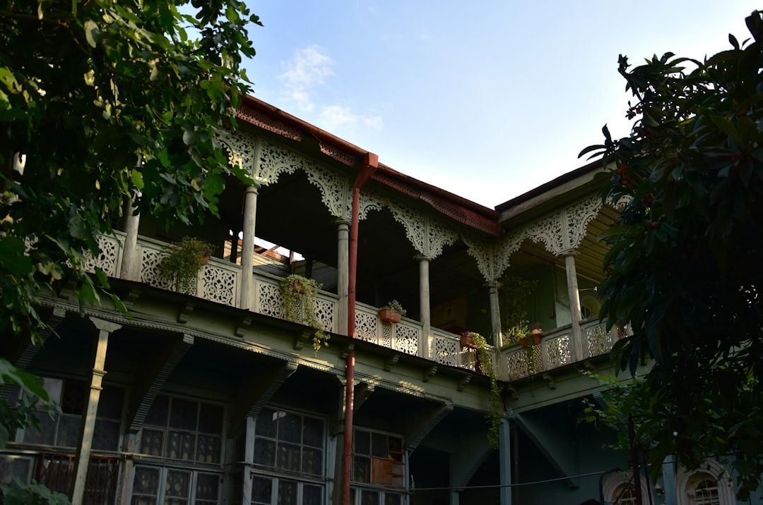 Georgia traditional architecture historic