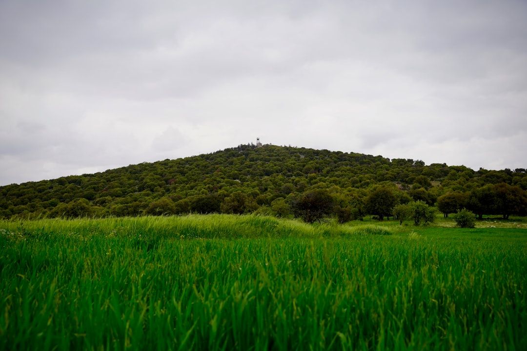 Jordan countryside nature landscape