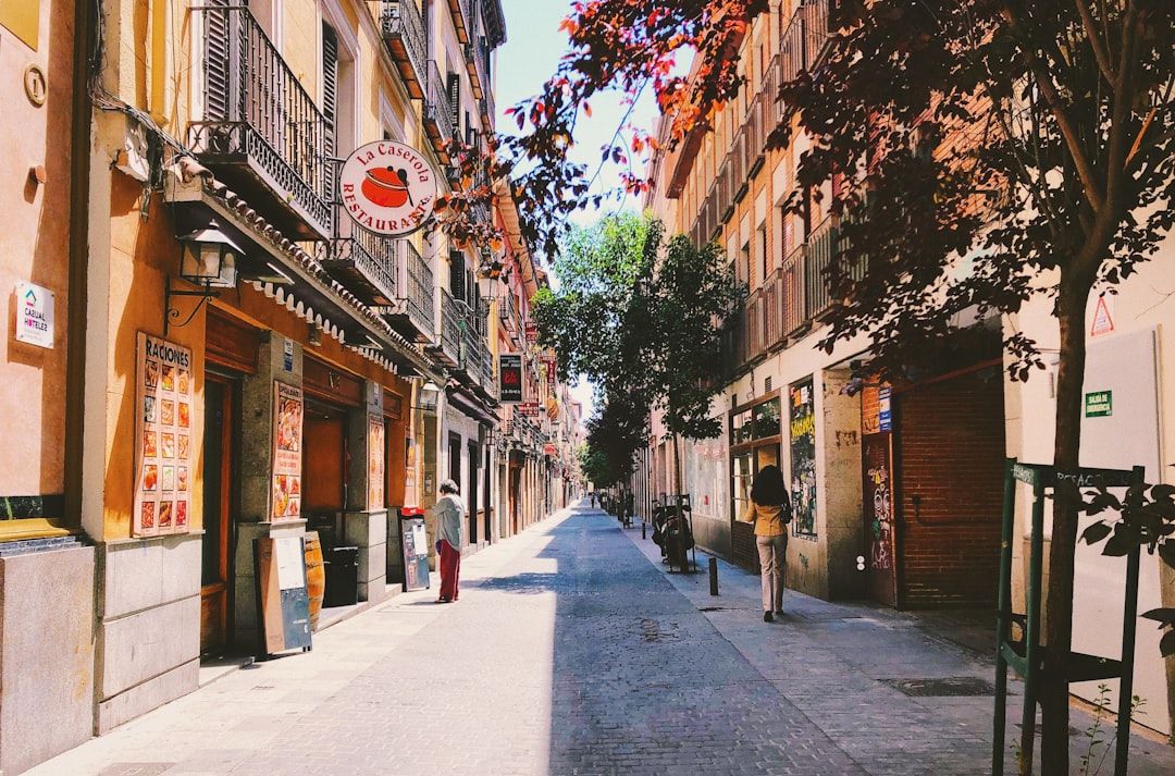Where a car is necessary in Madrid